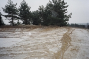 site_prep005_08a